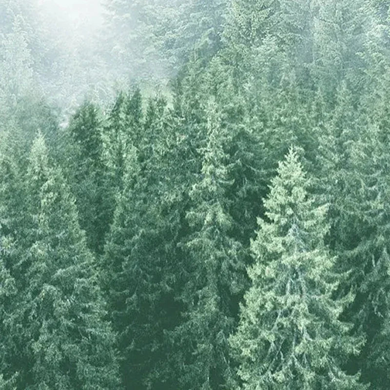 10 Bag Virgin Wood Pulp 5 Layers Soft Paper Napkin for Restaurant Table Dinner Tissues Party Supplies Disposable Hotel Napkins