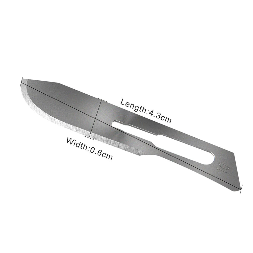 Sterile Surgical Scalpel Blades 100pcs - Carbon Steel #10 #11 #15 - AZDENT Medical Grade