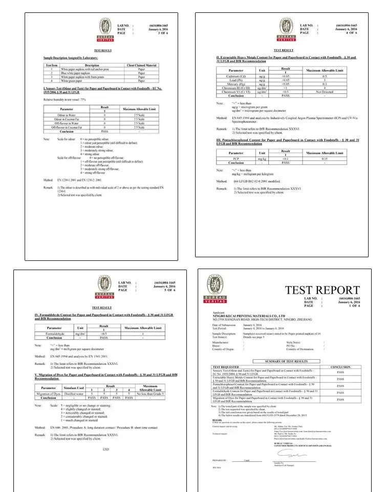 10/20pcs 33cm 2Layer New Christmas Elements Napkins Christmas Gifts Printed Disposable Paper Meal Pads DIY Decoupage Paper