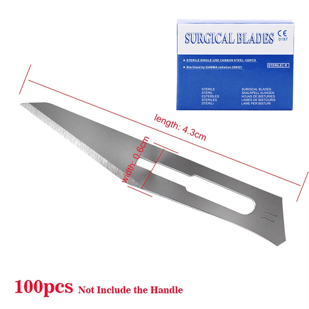 Sterile Surgical Scalpel Blades 100pcs - Carbon Steel #10 #11 #15 - AZDENT Medical Grade